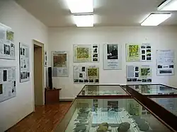Mineralogické muzeum v Homoli u Panny