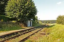 Hříběcí