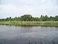 rybník Hanzlíkovec