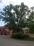Pomník padlých na návsi