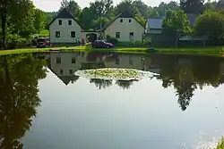 Návesní rybník s lekníny