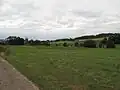 Pastvina