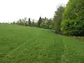 Vlek