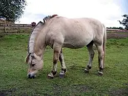 alternativní popis obrázku chybí