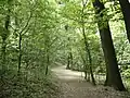 Horský park
