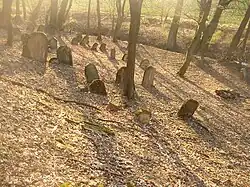 Hostoun KL CZ Old Jewish Cemetery 116.jpg
