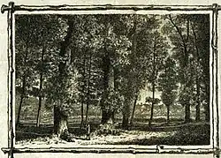 Část stromořadí (před rokem 1880)