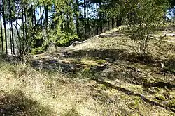 Hrádek - výšinné sídliště (příkop).jpg