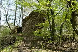 Fragment zdiva donjonu