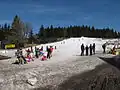 Lyžaři