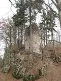 Hrad Holštejn