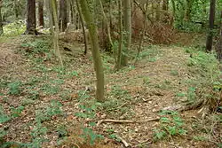 Hrad Ostrolovský Újezd - východní část jádra.jpg