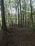 Hrad u Čtyřkol - 1.jpg
