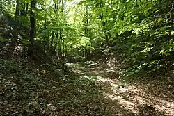 Hradečno - tvrziště Starý zámek (11).jpg