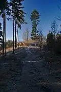 Hradiště Hrubé Kolo