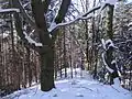 Slovanské hradiště Loučná – Saň