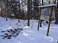 Hradiště Loučná – Saň na ostrožně nad vsí