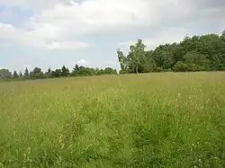 PR Hradišťanská louka