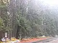 Hranice rezervace s cedulí značící oblast přírodní rezervace