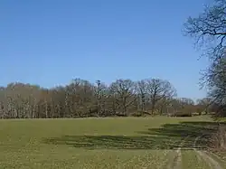 Hrdlořezy (hradiště) 3.jpg