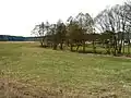 Třemošná v obci Hromnice