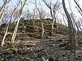 Geomorfologický útvar