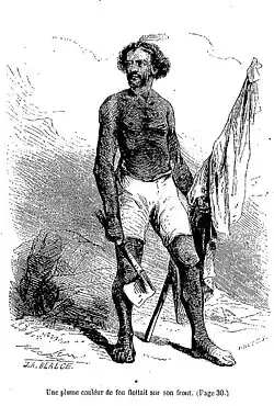 Ilustrace Jeana-Adolpha Beaucého k vydání z roku 1876