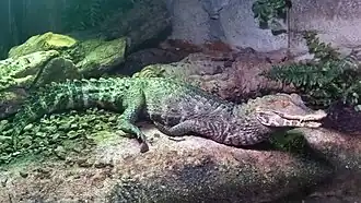 alternativní popis obrázku chybí