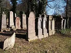 Humpolec - židovský hřbitov - řady hrobů.jpg