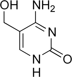 5-hydoxycytosin