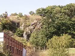 Hynčicovy skály