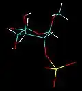 konformace (2S)1C4