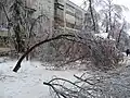 Poškození ledem.