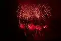 Ignis Brunensis 2009, ohňostroj rakouské společnosti Pyrovision 30. května