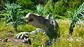Iguanodon samice, DinoPark Ostrava