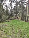 Pohled na skály shora