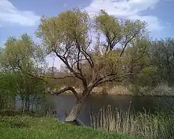 Řeka Ilovlja