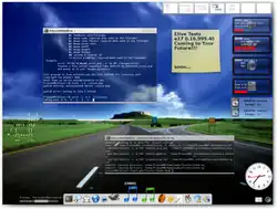 Screenshot of an Elive Gem 1.0 customized
