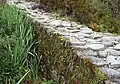 Inca trail