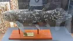 alternativní popis obrázku chybí