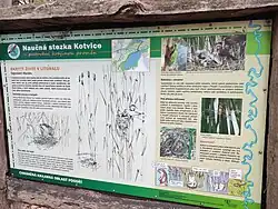 Informační tabule Sktytý život v litorálu