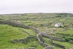 Malebná krajina s typickými kamennými zídkami na Inisheer