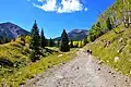 San Francisco Peaks