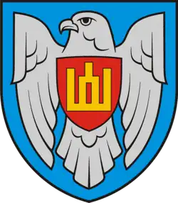 Znak litevského letectva
