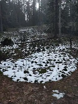 Pažintinis dendrologinis takas