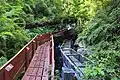Turistické chodníky v bujném spodním patře lesa (Termas Geométricas, Coñaripe, Los Ríos)