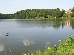 Markvartický rybník u Jablonného v Podještědí