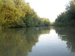 Řeka Jadar u srbské Loznice
