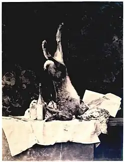 Camille Silvy: Lovecké zátiší s novinami Times, okolo 1858