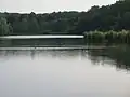 Vodní ptactvo